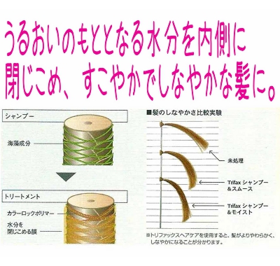 トリファクス1.jpg